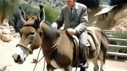 نتنياهو راكب حمار