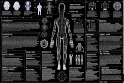 strange infographic about humanity, made by alien, black grainy background, several stranges gliphs, few text with big characters