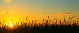 green grasses silhouette across bottom, with golden sunset sky in background, vector
