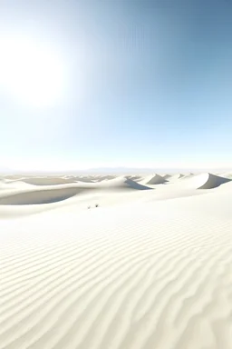 white sunny desert