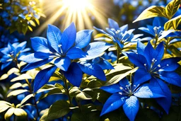 Blue, gold light effects colors, a lovely garden with plumbago flowers, clear sunny light, highly detailed, luminous rays of the sun, dark blue plumbago seaside, high contrast, 8k, high definition, realistic, concept art, sharp focus