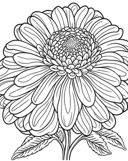 real massive Zinnia flower coloring page