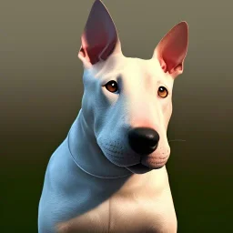 bullterrier, 4k, real bullterrier,