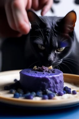 blueberry galaxy cat food and a man eating it and crying