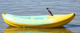aqua hornet patterned double banana boat