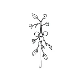 A black and white cute drawing of a mistletoe. Only outline, white background,for kids