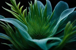 A mesmerizing depiction of dark green botanic organ mutation, inside translucent bulging glass petals. This exquisite image, possibly a painting or digital artwork, captures the complexity and elegance of this bizarre subject.the external presentation is a light blue beautiful and fragile pretty opacity, but inside is a horror muatation of botanical ecco sexual evolution. Every intricate detail is meticulously rendered, showcasing the strangeness and beauty in this strangely captivating world. T