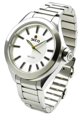 generate image of selco geneve watch which seem real for blog more relevant should be different with person
