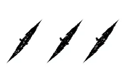 3 parallel diagonal claw slash marks in black on white, ragged, vector