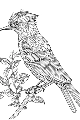 outline art for Birds coloring pages with sitch, white background, Sketch style, full body, only use outline, dementia patients style, clean line art, white background, no shadows and clear and well outlined.