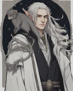 a young High Elf frost Wizard with long wiry hair, wearing a black trimmed white nobleman's robe and frost ornaments on clothes, with a small weasel on his shoulder