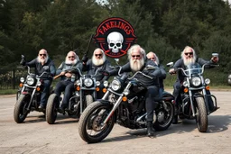 a very hard and tuff motorcycle bald gang, posing with their Harley Davidsson bikes, some of them holding guns and shotguns, a logo sign with Falköpings HD Club, "Fearless sinners" Skulls and bones, skeletons