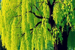 pop art pixels 1000 images willow leaves tree abstract style of william morris