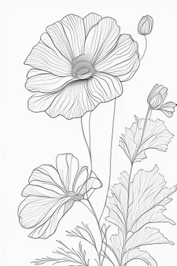 outline art for cute flower coloring pages with which, White background. sketch style, clean line art, white background, no shadow and clear