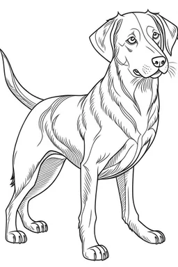 outline art for Dogs coloring pages with sitch, white background, Sketch style, full body, only use outline, dementia patients style, clean line art, white background, no shadows and clear and well outlined.