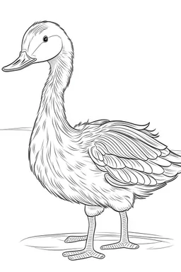 outline art for Gosling (Goose) coloring pages with sitch, white background, Sketch style, full body, only use outline, toddlers style, clean line art, white background, no shadows and clear and well outlined.