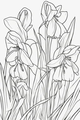 flowers coloring page for kids, common bluebell, cartoon style, thick outline, low details, no shading, no color