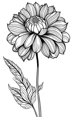 outline art, coloring pages with flower, clean line art, one flower on white background, sketch, colouring, b&w, no shadows