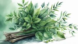 watercolor drawing dark green Gothic bouquet of medicinal herbs and twigs with leaves on a white background, Trending on Artstation, {creative commons}, fanart, AIart, {Woolitize}, by Charlie Bowater, Illustration, Color Grading, Filmic, Nikon D750, Brenizer Method, Side-View, Perspective, Depth of Field, Field of View, F/2.8, Lens Flare, Tonal Colors, 8K, Full-HD, ProPhoto RGB, Perfectionism, Rim Lighting, Natural Lighting, Soft Lighting, Accent Lighting, Diffraction Grading, With Imperfections