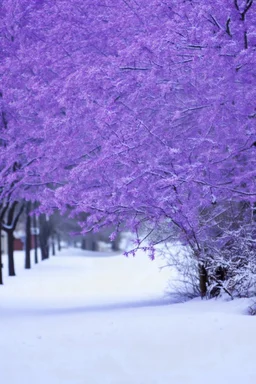 Purpke snow