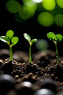 Green sprouts in dark soil against a blurred background symbolizing the concept of growth and potential