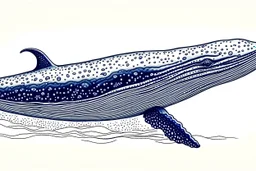 Whale illustration