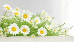 Daisy spring frame XXXL. See also PHOTOS ISOLATED ON WHITE and
