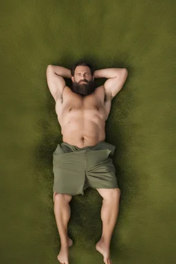 aerial top view shot photography of an ugly 41 year old beefy big robust burly italian carpenter , relaxing in the meadow, wearing bulging shorts, shirtless, hairy chest, serious, very virile, short beard, shaved hair,, , in a sunny day, photorealistic , photorealistic