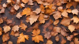 Dry Autumn Leaves