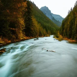 tree filled mountain with a river running through the mountain