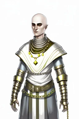 full length, tall 22-year old, shaved head, grey-eyed female cleric with a beaded necklace wearing scale mail