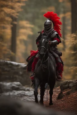 portrait of black knight on horse with red feather on stone bridge in mountain pass in forest,shot on Hasselblad h6d-400c, zeiss prime lens, bokeh like f/0.8, tilt-shift lens 8k, high detail, smooth render, down-light, unreal engine, prize winning