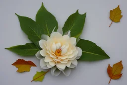 mixture of swan and flower with leaves