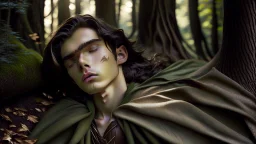 Photograph of a young teen male elf standing in a forest and wearing a long cape, relaxing, eyes closed, thick brown hair, full lips, aesthetic physique, cute face, shirtless torso, full body, warm skin tone, flawless skin, long hair, wide camera angle, romantic atmosphere, high resolution, photo-realism, Asian facial features,