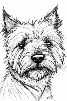 Portrait of a west highland terrier, traditional hand-drawn ink line sketch, retaining rough structure lines and flying lines; alcohol marker coloring, transparent, water scale edge and strong white highlight; texture white paper background, strong line dynamics; 3:4