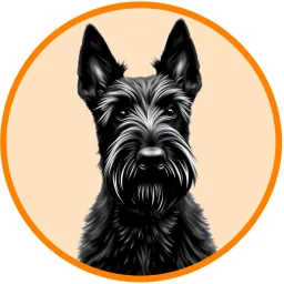 an orange circle containing a black and white image of a Scottish terrier