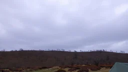 The sky is a muddy violet with light cloud cover. Below, the rolling hills is scattered with scraggly trees and dry moss. Near the foreground, there is a tent.