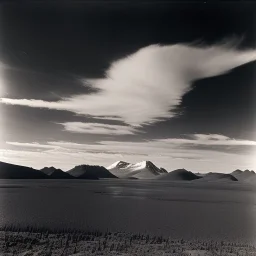 Ansel adams Landscape Photo of muskeg in alaska