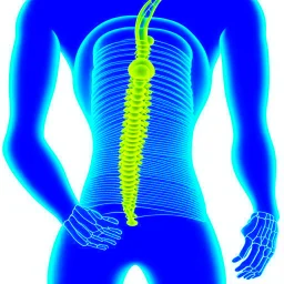 Portrait of a cat by Van Gogh