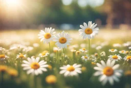 cute chibi smiling faced daisy flowers dynamically playing football in sunshine in sunshine, ethereal, cinematic postprocessing, bokeh, dof