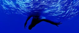 a human reaching the surface of the ocean