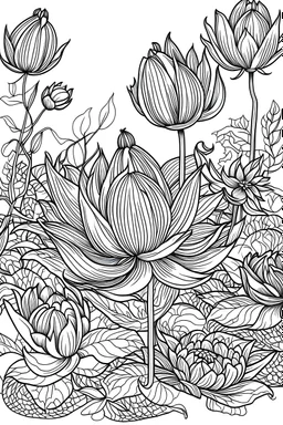 Black and White Coloring Book Page ,Lavande de lotus Coloring Book, Full White, Lavande de lotus, White Background,Variety Lavande de lotus patterns, clean calligraphy, drawing style, calligraphy,use outline only