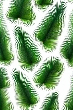 pattern on a white background of Siberian pine leaves, common pine gum