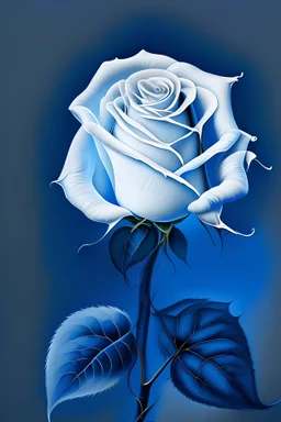 Draw me a white rose on a bleu background
