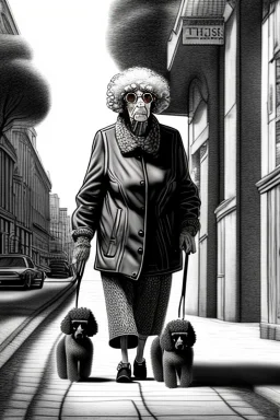 street, old lady with old poodle walking, model style, hyper realistic, accurate, delicate, extremely detailed, Graphic novel style, wide-angle, front view, open aperture, superfine pencil