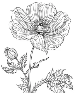 real massive only Anemone flower, coloring page, no leaves, full body (((((white background))))), only use an outline., real style, line art, white color, clean line art, white background, Sketch style