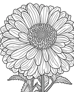 real massive Zinnia flower coloring page