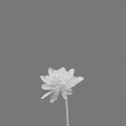 tiny delicate long stem crystalline flower, beautiful composition, centered in frame, smoke effect, steam effect, pastel colors, plain solid color, highly intricate, extremely ornate, highly detailed, photorealistic, chiaroscuro, aesthetic layout, monochrome pantone, minimalist photography, hyper realistic, octane render, minimalist art