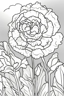 flowers coloring page for kids, carnation, cartoon style, thick outline, low details, no shading, no color