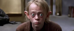 Macaulay Culkin looks like gollum in home alone, also gandalf is there